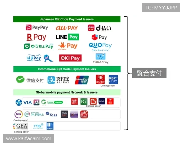 凯发体育网页版多样化的支付方式,方便快捷的资金存取体验 凯发体育网页版多样化的支付方式,方便快捷的资金存取体验