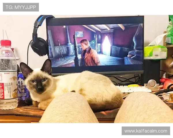 K8中国官方网站全面介绍游戏特色、玩法攻略及最新活动资讯，助你成为游戏高手